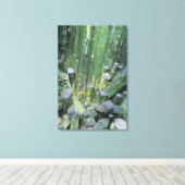 Toermalijn Elbaite kristallen op Quartz Canvas Afdruk (Insitu (Houten vloer))