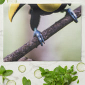 Toern van Costa Rica Theedoek (Gevouwen)