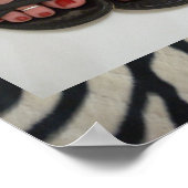  toes Pedicure Zebra Print Poster (Hoek)