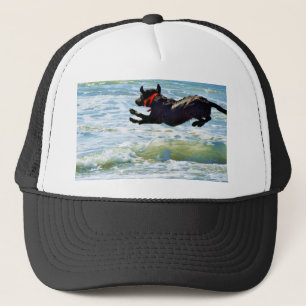 Toezegging Trucker Pet