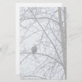 Toezicht (Voorkant / Achterkant)