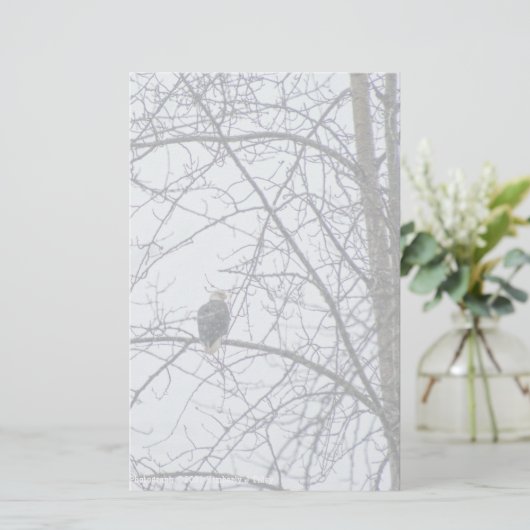 Toezicht (Staand voorkant)