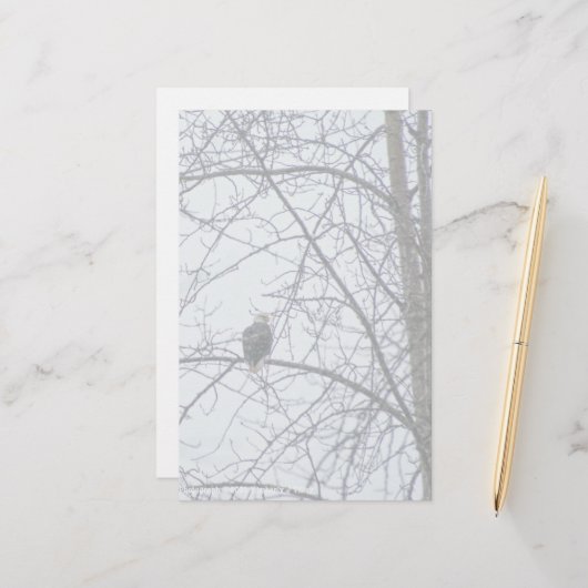 Toezicht (Voorkant / Achterkant in situ)