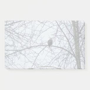 Toezicht Post-it® Notes