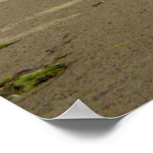 Tofino Beach Poster (Hoek)