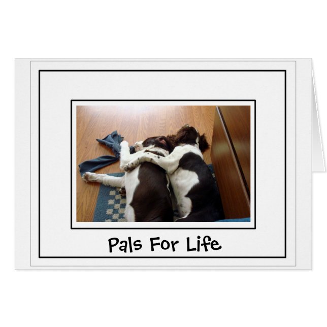 Togetherheid (Voorkant Horizontaal)