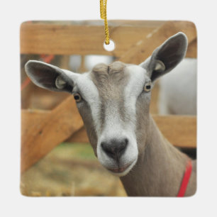 Toggenburg Dairy Goat Keramisch Ornament