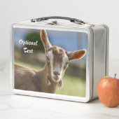 Toggenburg Dairy Goat Kind (In situ)