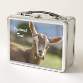 Toggenburg Dairy Goat Kind (Voorkant)