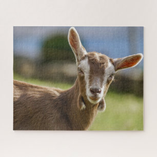 Toggenburg Dairy Goat Kind Legpuzzel