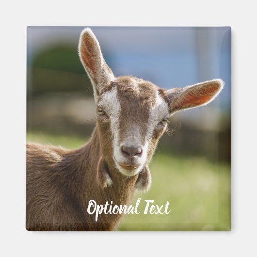 Toggenburg Dairy Goat Kind Magneet (Voorkant)