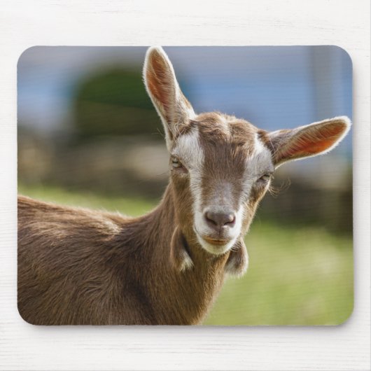 Toggenburg Dairy Goat Kind Muismat (Voorkant)