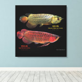 Toile 金と赤のAsian Arowana (Insitu (Plancher de Bois))