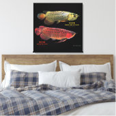 Toile 金と赤のAsian Arowana (Insitu(Chambre))