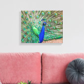 Toile 0601-Peacock (Insitu(Salon))