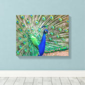 Toile 0601-Peacock (Insitu (Plancher de Bois))