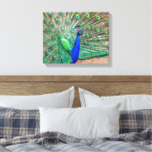 Toile 0601-Peacock (Insitu(Chambre))