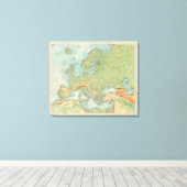 Toile 1112 Physique européen (Insitu (Plancher de Bois))