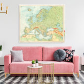 Toile 1112 Physique européen (Insitu(Salon))