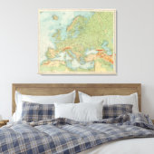 Toile 1112 Physique européen (Insitu(Chambre))
