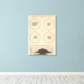 Toile 116 Décès de la coqueluche (Insitu (Plancher de Bois))