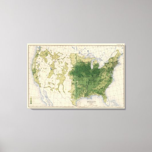 Toile 146 Swine/mile² (Recto)