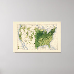 Toile 147 Boeuf pur/mille carré