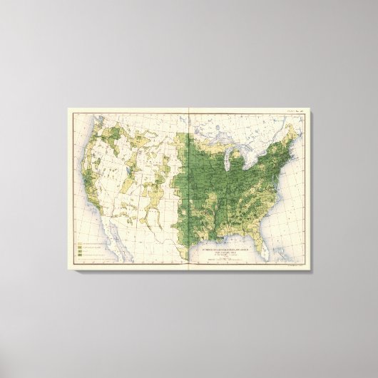 Toile 149 Chevaux, mules, ânes/km² (Recto)