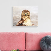 Toile 14x11 Buse à queue rouge immature au sol (Insitu(Salon))