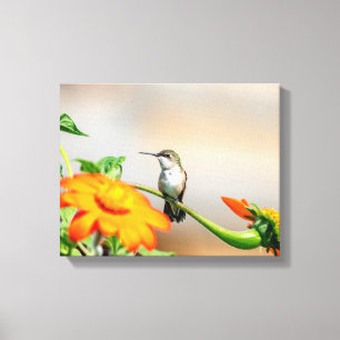 Toile 14x11 Colibri sur un plante à fleurs
