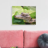 Toile 14x11 Jeune Alligator (Insitu(Salon))