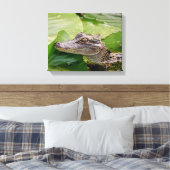 Toile 14x11 Jeune Alligator (Insitu(Chambre))