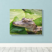 Toile 14x11 Jeune Alligator (Insitu (Plancher de Bois))