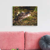 Toile 14x11 Jeune Alligator (Insitu(Salon))