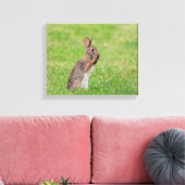 Toile 14x11 Lapin debout dans l'herbe et a l'air timide (Insitu(Salon))