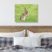 Toile 14x11 Lapin debout dans l'herbe et a l'air timide (Insitu(Chambre))