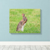 Toile 14x11 Lapin debout dans l'herbe et a l'air timide (Insitu (Plancher de Bois))