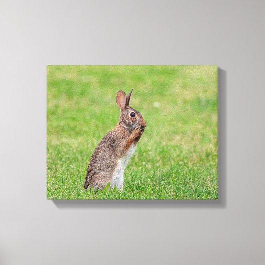 Toile 14x11 Lapin debout dans l'herbe et a l'air timide (Recto)