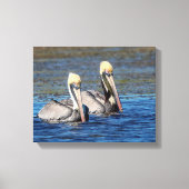 Toile 14x11 Paire de pélicans (Recto)