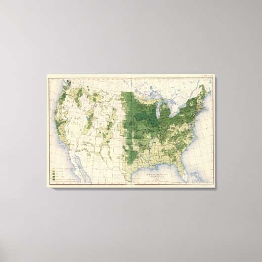 Toile 158 avoine/mille² (Recto)