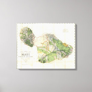 Toile 1885 De Witt Alexander Plan du mur de Maui, Hawaii