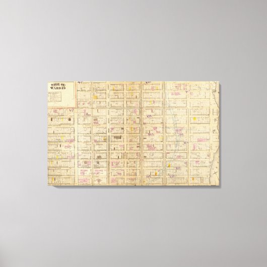 Toile 19 Ward 19 (Recto)