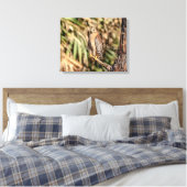 Toile 20x16 Buse à épaulettes rouge dans un arbre (Insitu(Chambre))