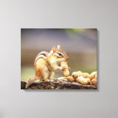 Toile 20x16 Chipmunk mangeant une cacahuète (Recto)