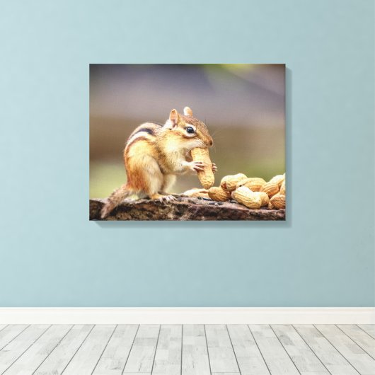Toile 20x16 Chipmunk mangeant une cacahuète (Insitu (Plancher de Bois))