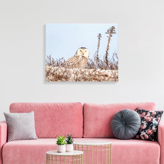 Toile 20x16 Chouette neige assise sur la plage (Insitu(Salon))