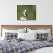 Toile 20x16 Heron Vert sur un log (Insitu(Chambre))
