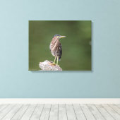 Toile 20x16 Heron Vert sur un log (Insitu (Plancher de Bois))