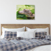 Toile 20x16 Jeune Alligator (Insitu(Chambre))