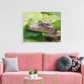 Toile 20x16 Jeune Alligator (Insitu(Salon))